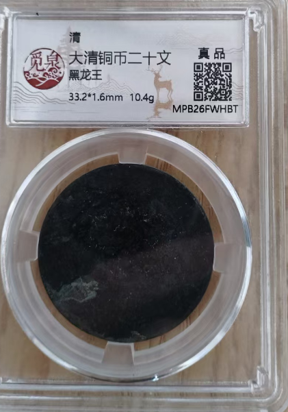 大清铜币《二十文》黑龙王-嘉诚艺术