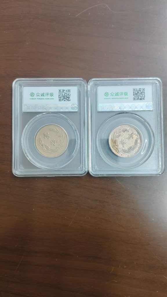 图片[2]-山西省造《双旗铜币》2枚<原光>-嘉诚艺术